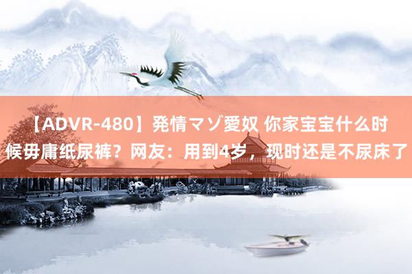 【ADVR-480】発情マゾ愛奴 你家宝宝什么时候毋庸纸尿裤？网友：用到4岁，现时还是不尿床了