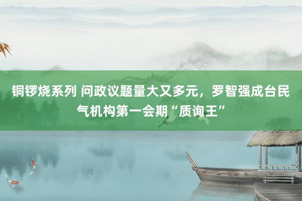 铜锣烧系列 问政议题量大又多元，罗智强成台民气机构第一会期“质询王”