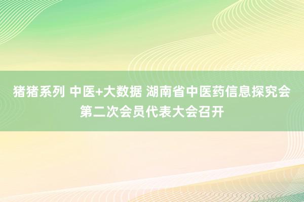 猪猪系列 中医+大数据 湖南省中医药信息探究会第二次会员代表大会召开