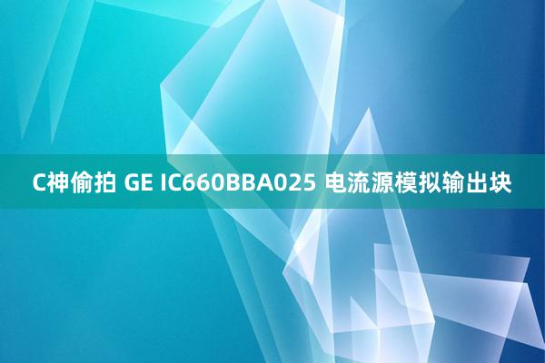 C神偷拍 GE IC660BBA025 电流源模拟输出块