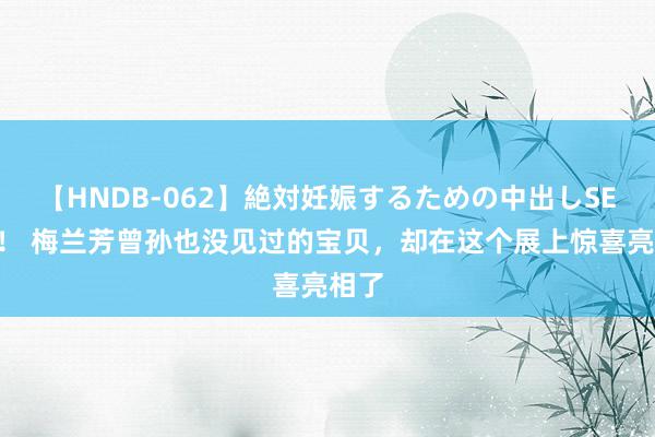 【HNDB-062】絶対妊娠するための中出しSEX！！ 梅兰芳曾孙也没见过的宝贝，却在这个展上惊喜亮相了