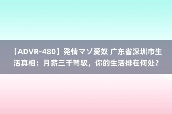 【ADVR-480】発情マゾ愛奴 广东省深圳市生活真相：月薪三千驾驭，你的生活排在何处？