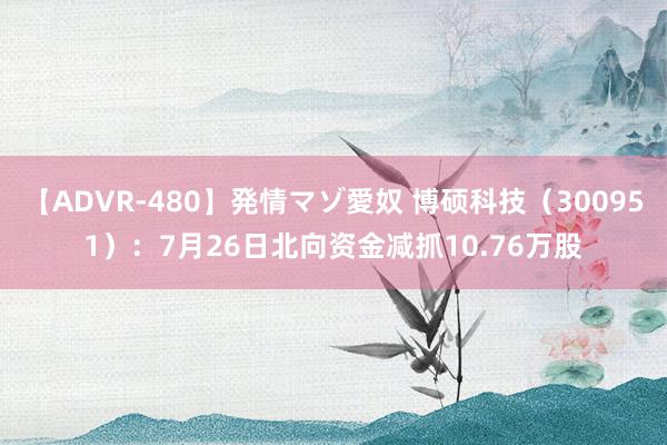 【ADVR-480】発情マゾ愛奴 博硕科技（300951）：7月26日北向资金减抓10.76万股