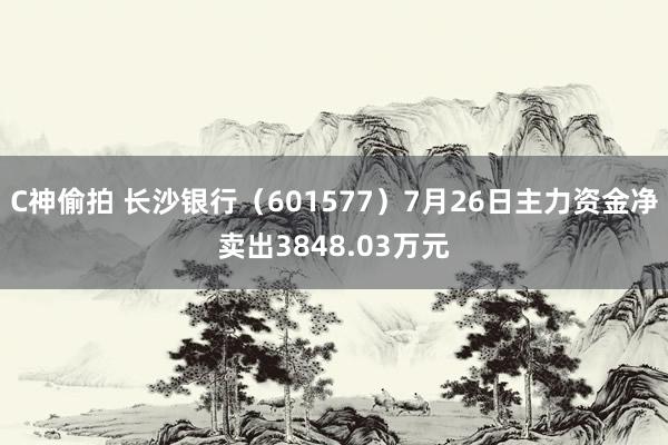 C神偷拍 长沙银行（601577）7月26日主力资金净卖出3848.03万元