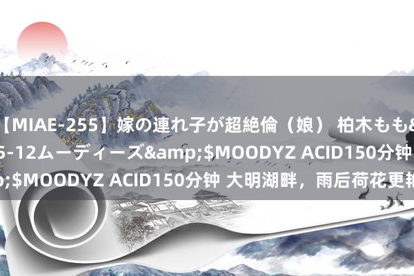 【MIAE-255】嫁の連れ子が超絶倫（娘） 柏木もも</a>2018-05-12ムーディーズ&$MOODYZ ACID150分钟 大明湖畔，雨后荷花更艳