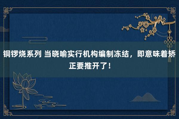 铜锣烧系列 当晓喻实行机构编制冻结，即意味着矫正要推开了！