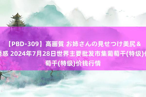 【PBD-309】高画質 お姉さんの見せつけ美尻＆美脚の誘惑 2024年7月28日世界主要批发市集葡萄干(特级)价钱行情