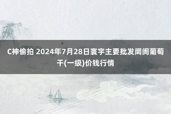 C神偷拍 2024年7月28日寰宇主要批发阛阓葡萄干(一级)价钱行情