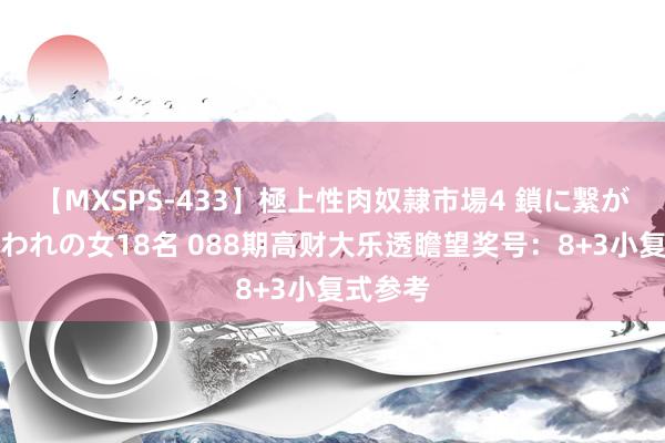 【MXSPS-433】極上性肉奴隷市場4 鎖に繋がれた囚われの女18名 088期高财大乐透瞻望奖号：8+3小复式参考