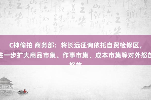 C神偷拍 商务部：将长远征询依托自贸检修区，进一步扩大商品市集、作事市集、成本市集等对外怒放