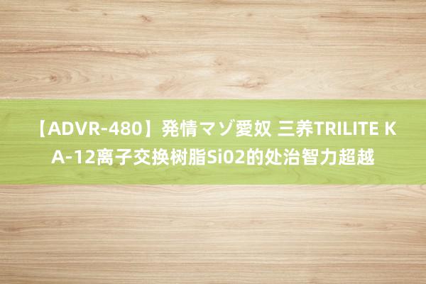 【ADVR-480】発情マゾ愛奴 三养TRILITE KA-12离子交换树脂Si02的处治智力超越