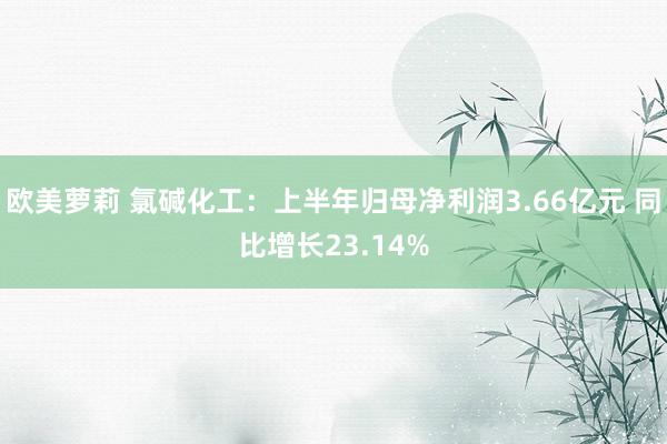 欧美萝莉 氯碱化工：上半年归母净利润3.66亿元 同比增长23.14%