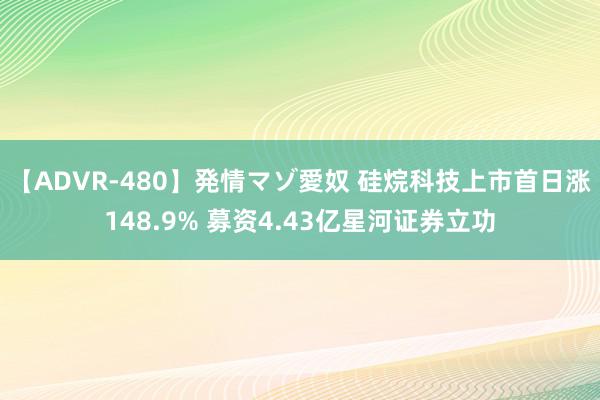 【ADVR-480】発情マゾ愛奴 硅烷科技上市首日涨148.9% 募资4.43亿星河证券立功