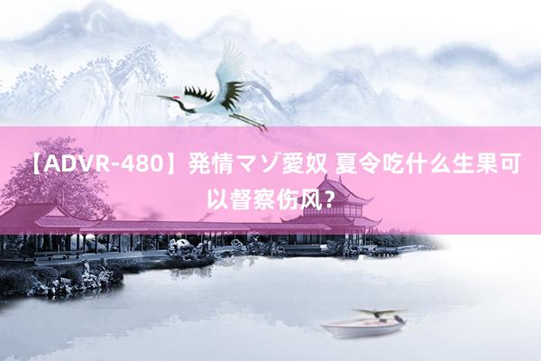 【ADVR-480】発情マゾ愛奴 夏令吃什么生果可以督察伤风？