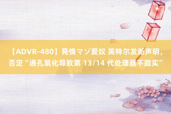 【ADVR-480】発情マゾ愛奴 英特尔发新声明，否定“通孔氧化导致第 13/14 代处理器不踏实”