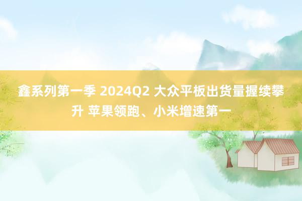 鑫系列第一季 2024Q2 大众平板出货量握续攀升 苹果领跑、小米增速第一