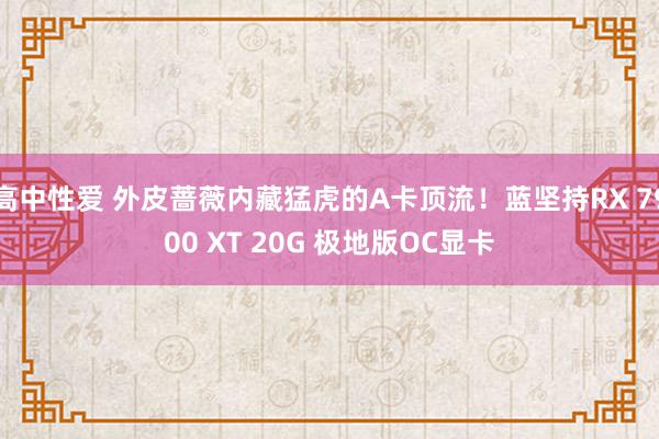 高中性爱 外皮蔷薇内藏猛虎的A卡顶流！蓝坚持RX 7900 XT 20G 极地版OC显卡