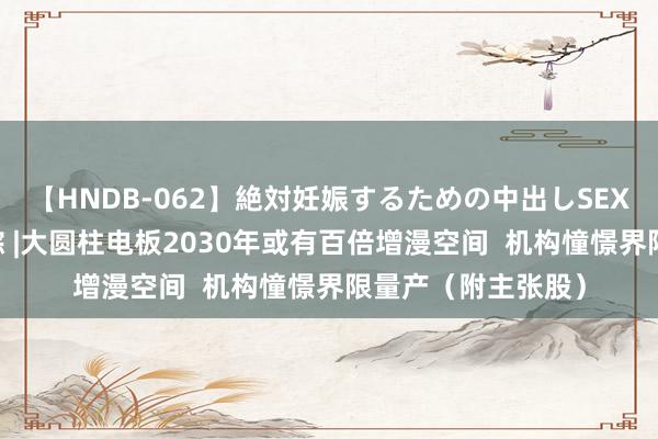 【HNDB-062】絶対妊娠するための中出しSEX！！ 港股主张跟踪 |大圆柱电板2030年或有百倍增漫空间  机构憧憬界限量产（附主张股）