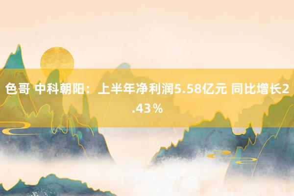 色哥 中科朝阳：上半年净利润5.58亿元 同比增长2.43％