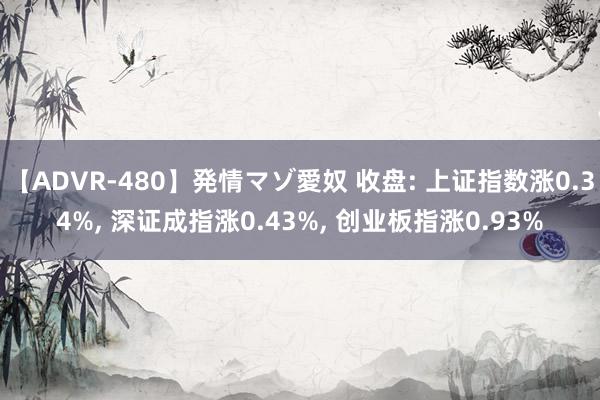 【ADVR-480】発情マゾ愛奴 收盘: 上证指数涨0.34%, 深证成指涨0.43%, 创业板指涨0.93%