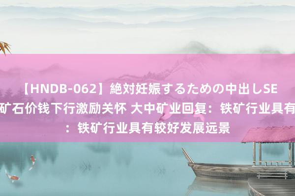 【HNDB-062】絶対妊娠するための中出しSEX！！ 群众铁矿石价钱下行激励关怀 大中矿业回复：铁矿行业具有较好发展远景