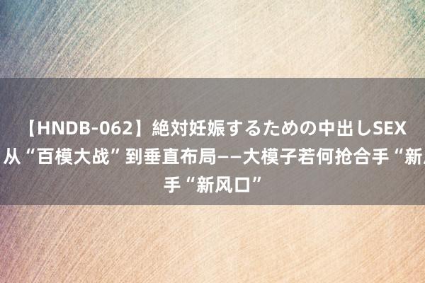 【HNDB-062】絶対妊娠するための中出しSEX！！  从“百模大战”到垂直布局——大模子若何抢合手“新风口”