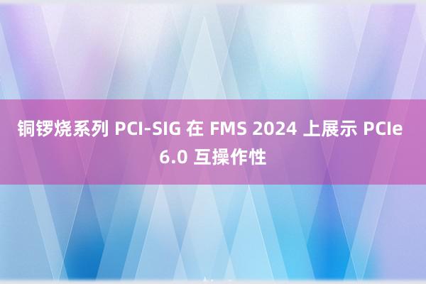 铜锣烧系列 PCI-SIG 在 FMS 2024 上展示 PCIe 6.0 互操作性