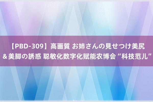 【PBD-309】高画質 お姉さんの見せつけ美尻＆美脚の誘惑 聪敏化数字化赋能农博会“科技范儿”