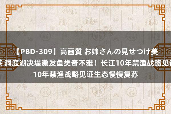 【PBD-309】高画質 お姉さんの見せつけ美尻＆美脚の誘惑 洞庭湖决堤激发鱼类奇不雅！长江10年禁渔战略见证生态慢慢复苏