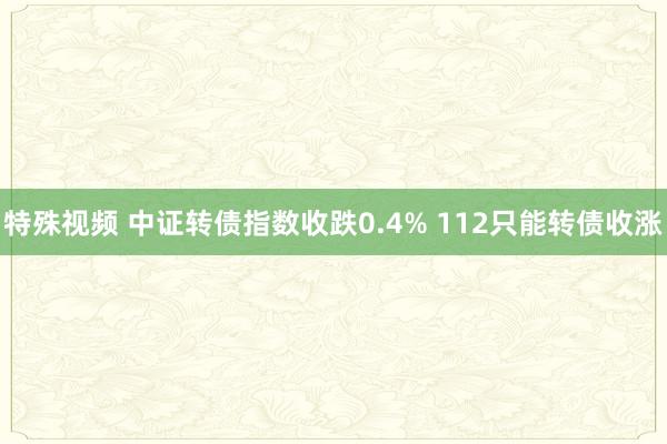 特殊视频 中证转债指数收跌0.4% 112只能转债收涨