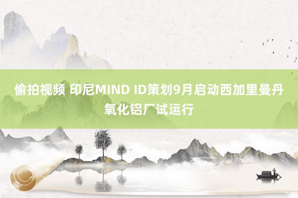 偷拍视频 印尼MIND ID策划9月启动西加里曼丹氧化铝厂试运行