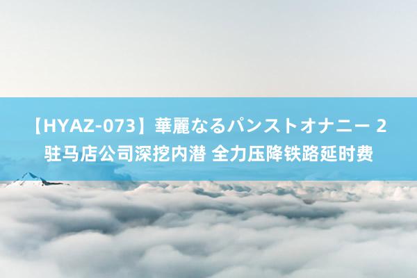 【HYAZ-073】華麗なるパンストオナニー 2 驻马店公司深挖内潜 全力压降铁路延时费