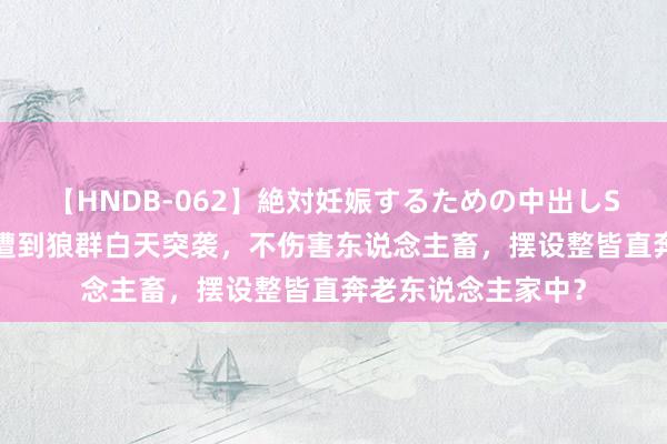 【HNDB-062】絶対妊娠するための中出しSEX！！ 新疆小城遭到狼群白天突袭，不伤害东说念主畜，摆设整皆直奔老东说念主家中？