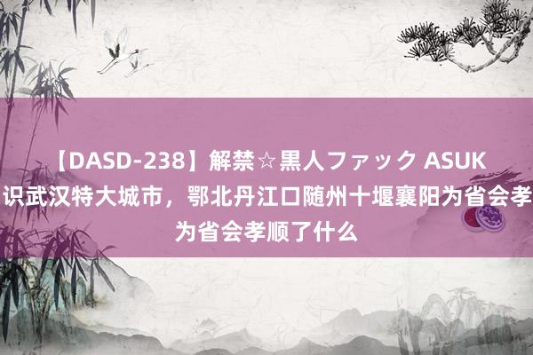 【DASD-238】解禁☆黒人ファック ASUKA 中央相识武汉特大城市，鄂北丹江口随州十堰襄阳为省会孝顺了什么