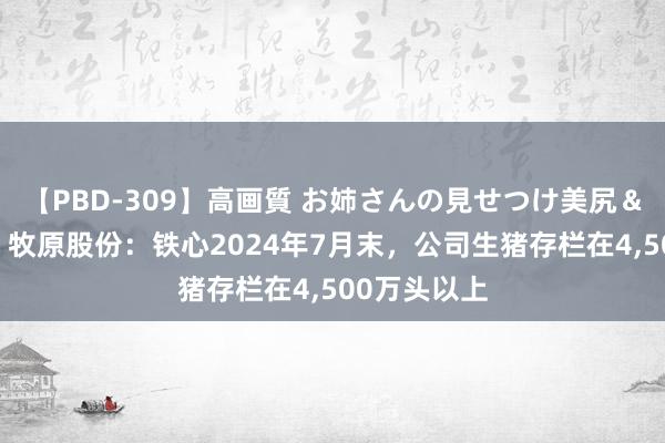 【PBD-309】高画質 お姉さんの見せつけ美尻＆美脚の誘惑 牧原股份：铁心2024年7月末，公司生猪存栏在4,500万头以上