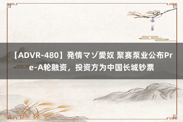 【ADVR-480】発情マゾ愛奴 聚赛泵业公布Pre-A轮融资，投资方为中国长城钞票