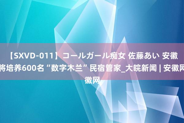 【SXVD-011】コールガール痴女 佐藤あい 安徽将培养600名“数字木兰”民宿管家_大皖新闻 | 安徽网