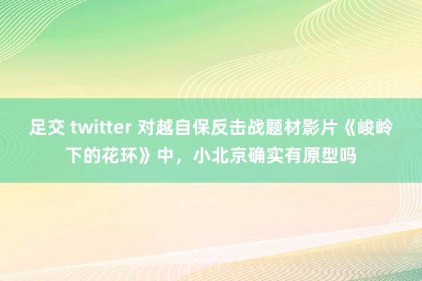 足交 twitter 对越自保反击战题材影片《峻岭下的花环》中，小北京确实有原型吗