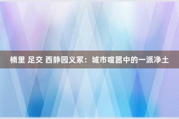 楠里 足交 西静园义冢：城市喧嚣中的一派净土