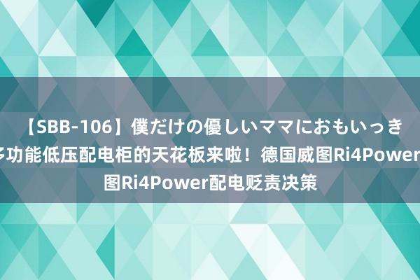 【SBB-106】僕だけの優しいママにおもいっきり甘えたい 多功能低压配电柜的天花板来啦！德国威图Ri4Power配电贬责决策