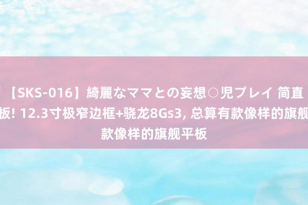 【SKS-016】綺麗なママとの妄想○児プレイ 简直没短板! 12.3寸极窄边框+骁龙8Gs3, 总算有款像样的旗舰平板