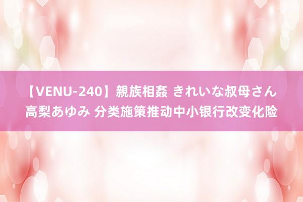 【VENU-240】親族相姦 きれいな叔母さん 高梨あゆみ 分类施策推动中小银行改变化险